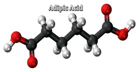 Adipic Acid - Assignment Point