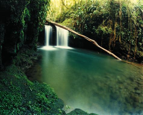 Costa Rica expands Braulio Carrillo National Park