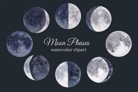 Moon phases watercolor clipart, lunar cycle, celestial clip art By Svitlana Yanyeva | TheHungryJPEG