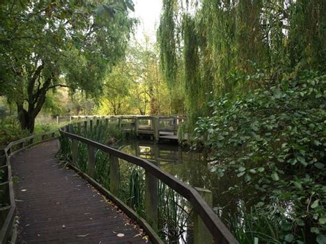 Wandsworth Common 2021, #3 top things to do in wandsworth, england, reviews, best time to visit ...