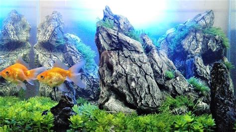 How To Make Artificial Rocks For A Fish Aquarium - Aquarium Views