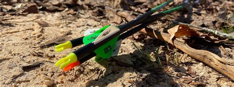 How To Get Into Bow Hunting - Southeastern Bowhunting