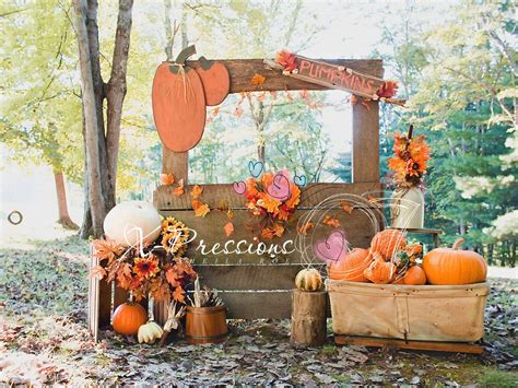 a wooden sign with pumpkins and other decorations on it in front of some trees