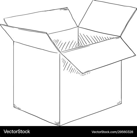 Sketch open cubicle cardboard box Royalty Free Vector Image