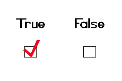 True or False: Boolean Is a Data Type? – Digilent Blog