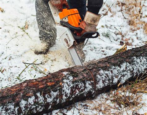 How To Use An Electric Chainsaw - Workshopedia