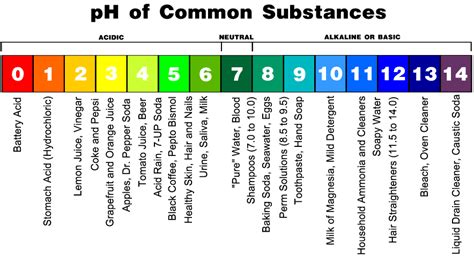 How pH Affects Oral Health | Blog | Professional – Side Effect Support LLC