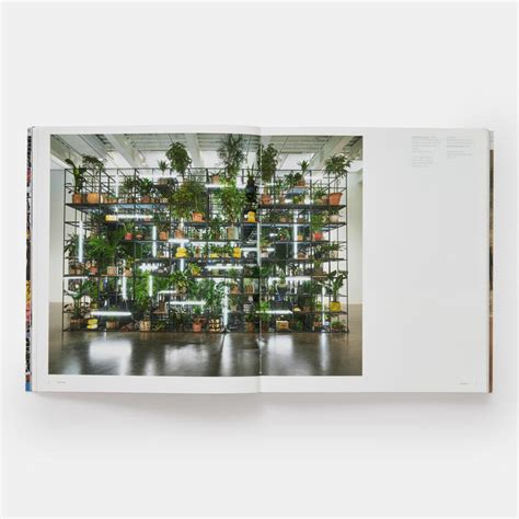 Rashid Johnson | Art | Store | Phaidon