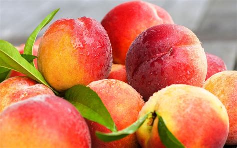 Peaches Wallpapers - Top Free Peaches Backgrounds - WallpaperAccess