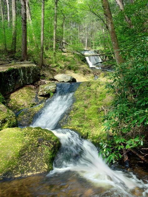 Free Images : landscape, nature, forest, waterfall, hiking, trail, river, stream, jungle, autumn ...