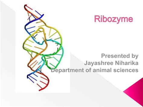 ribozyme-210812091643 (1).pdf