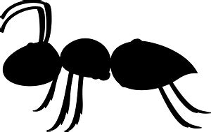 Ant silhouette - Free Vector Silhouettes | Creazilla