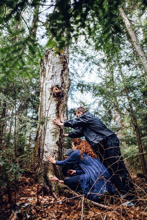 How to Sustainably Harvest Wild Chaga Mushrooms | Black Magic Alchemy