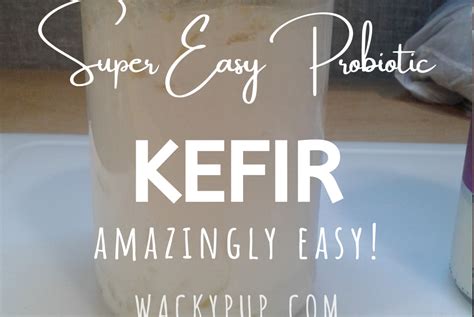 Wacky Pup: Kefir - It's a Thing! An easy thing! Super Easy Method For ...