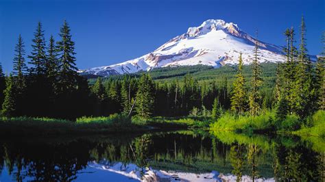 Mt Hood Scenic Loop, Hood River County Tour Route Road Trip