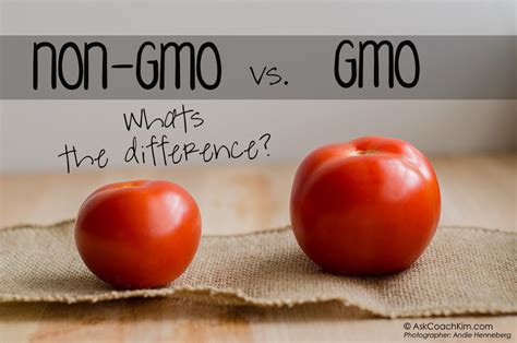 Finally! Genetically Engineered Foods Are Safe To Eat - Scientists