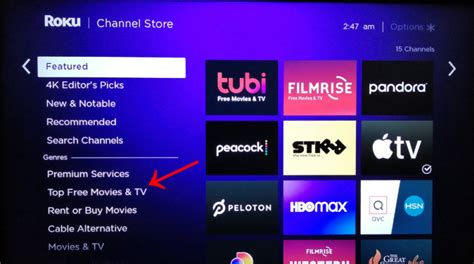 The Best Roku Free Channels in 2024 and How to Find Them