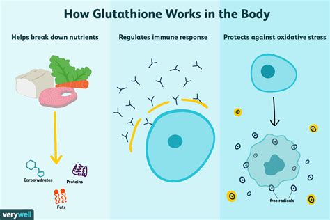 Glutathione: Benefits, Side Effects, Dosage, and Interactions