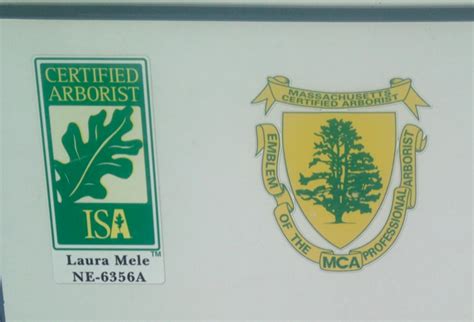 The Continuing Education of a Certified Arborist - ArborTech Tree Services