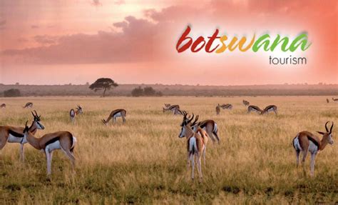 Botswana Tourism Organization Partners with the GSTC on Sustainable ...