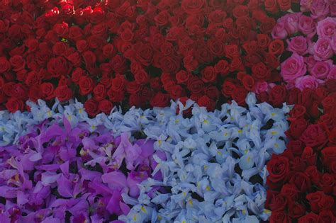 Assorted color petaled flowers HD wallpaper | Wallpaper Flare