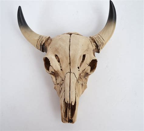 cow skull decor - 28 images - cow skull decor southwestern decor faux ...