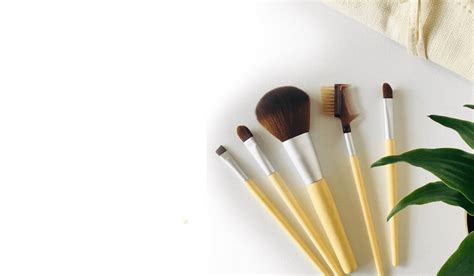 Best Eco Friendly Makeup Brushes for Sustainable Beauty in 2024 ...