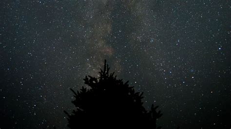 Download wallpaper 1366x768 milky way, starry sky, night, tree ...