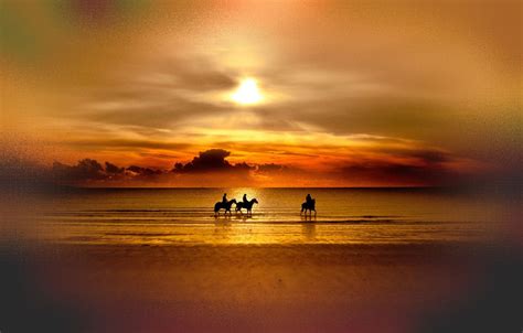 Silhouette photo of three person riding on horse beside seashore, lake, sunset, horse, sky HD ...