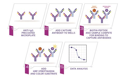 Competitive ELISA: EIA Kits | RayBiotech