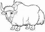 Yak Is Happy sketch template