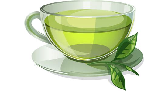 Green tea Coffee Herbal tea - crazy shopping png download - 900*567 - Free Transparent Green Tea ...