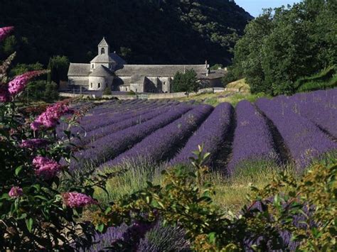 Gordes France Beauty in Provence | Lavender fields france, Best vacation destinations, Lavender ...