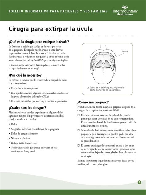 Uvula Removal Surgery Fact Sheet Spanish | PDF | Cirugía | Alimentos