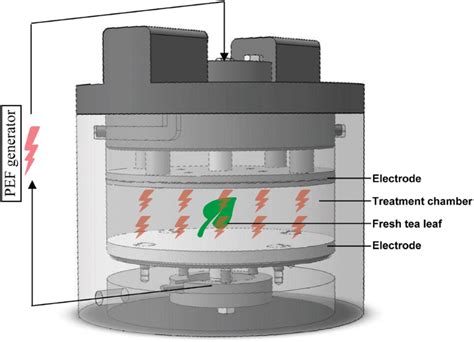 Pulsed Electric Field as an Alternative Pre-treatment for Drying to ...