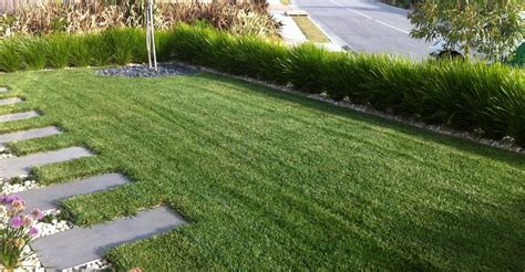 RTF-Tall Fescue | Build Mart