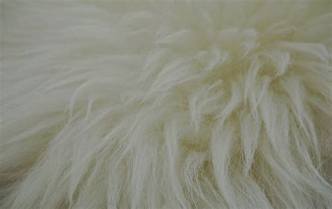 An Overview of Wool Scouring - Textile Apex