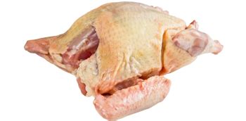 Wholesale Squab for Distributors | Marx Imports