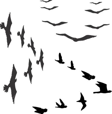 Vector Illustration Aerial Air Aloft Background, Dove, Wing, Vector Background Image And ...