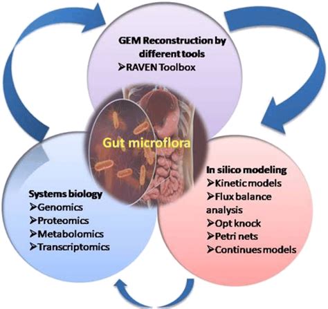 Overview of approaches that can be applied to study the gut microflora ...