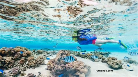 Mau Snorkeling di Pulau Seribu? Ketahui Dulu Tips Berikut Ini