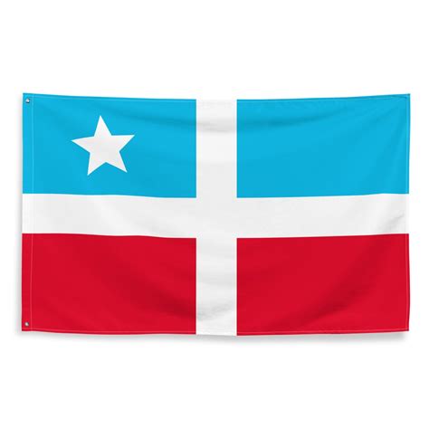 Puerto Rican El Grito De Lares Flag bandera De El Grito De Lares - Etsy