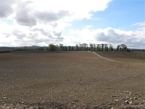 Teagasc tips for successful grass reseeding - Agriland.ie