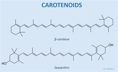 What is the Difference Between Carotene and Xanthophyll - Pediaa.Com