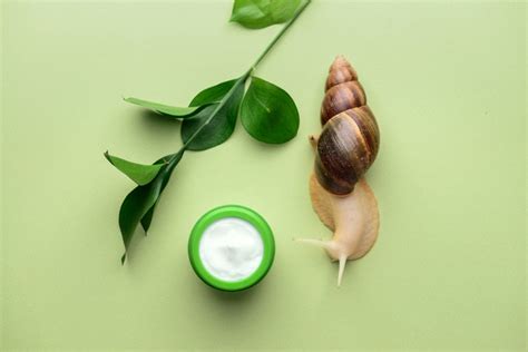 Benefits of Snail gel cream | DIVAIN – DIVAIN® EU