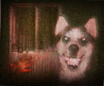 Smile Dog (smile.jpg) | Deutsches Creepypasta Wiki | FANDOM powered by Wikia