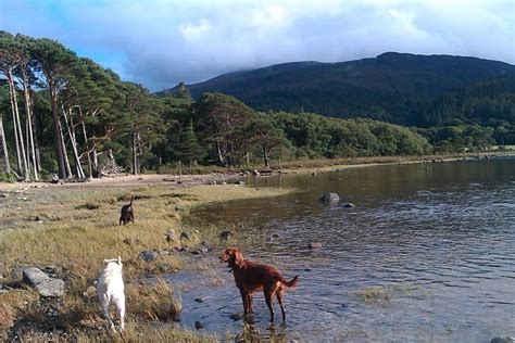 Guided Killarney National Park Walking Tour: Triphobo