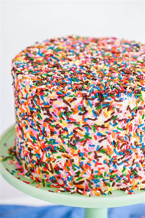 Chocolate Sprinkle Cake - Sprinkles For Breakfast