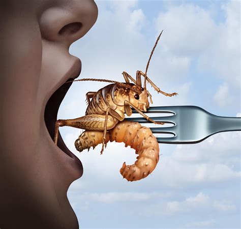 Edible Insects Are The New Animal Farm | Discover Magazine