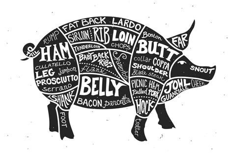 Labeled Cuts of Meat - Pig by Ramsey Creative on @creativemarket ...